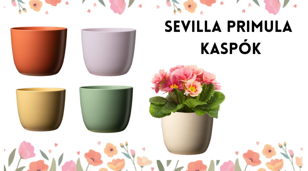 Oázis Kellék Nagyker