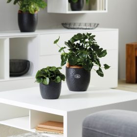 Boston 13 anthrazit matt