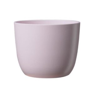 Primula Sevilla matte light rose 11