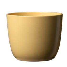 Primula Sevilla matte moon yellow 11