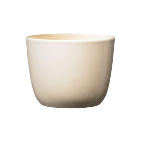 Primula Sevilla 11 Vanilia Akci