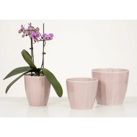 639/14 Rose Elegance