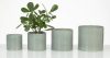 828/14 Sage Green