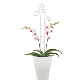 608/13 Midi Topf Panna