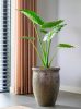 Vikan 01BB bronze set of 3