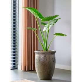 Vikan 01BB bronze set of 3