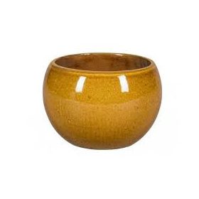 Shanghai 1-01T ochre set of 4