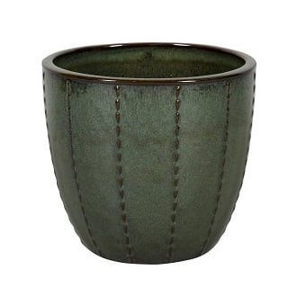 Seoul 10-01DA drip green set of 4