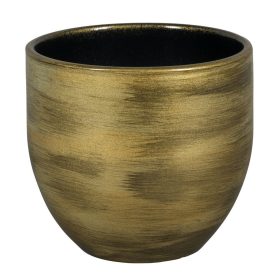 Abbey 1-01Y gold 14/H13