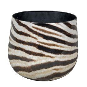 Zebra 1-01 set of 3