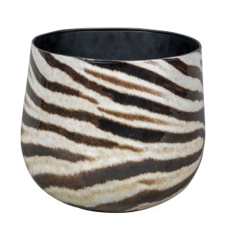 Zebra 1-01 set of 3
