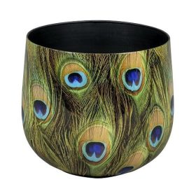 Feather 1-01PC set of 3