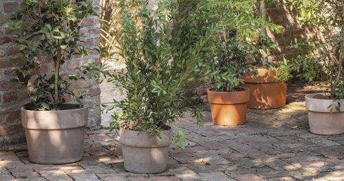 Cachepot Perfetto 11 Graf.