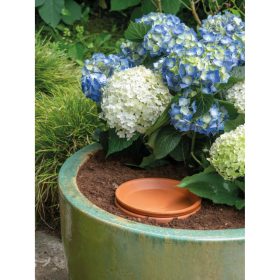 Aquado H 25 Fard. Et.