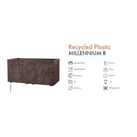 Cass. Millennium R 59 Brown.