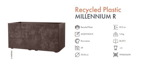Cass. Millennium R 59 Brown.