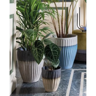 Vaso Alto Riga H 36 Mix Col