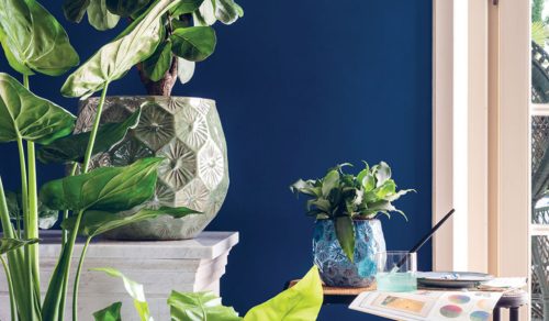 Vaso Patelle 38 Mix Colori