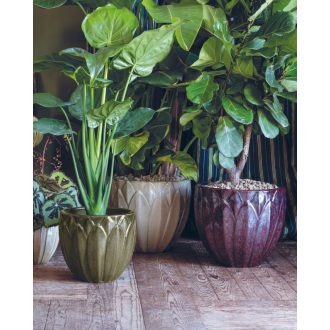 Vaso Forest 29 Mix Colori