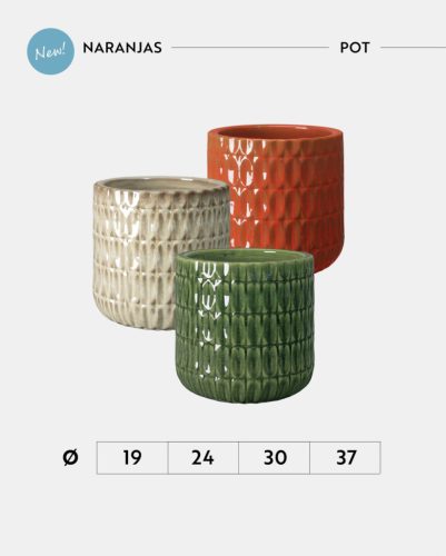 Pot Naranjas 19