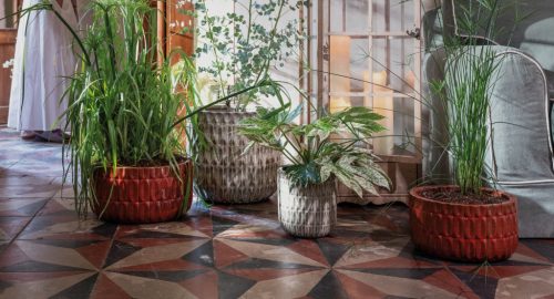 Low Bowl Naranjas 24