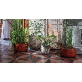 Low Bowl Naranjas 36.5