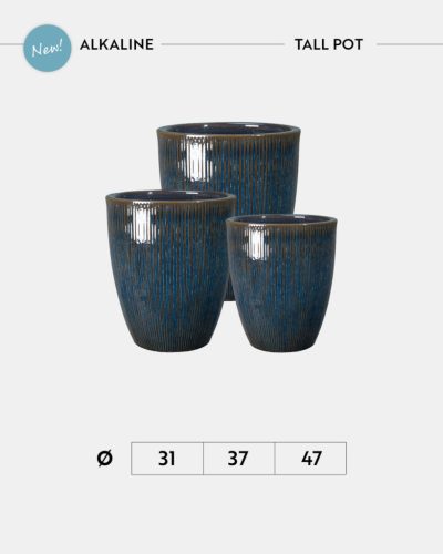 Tall Pot Alkaline H 30.5