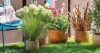 SOTTOVASO SUNLIGHT 20