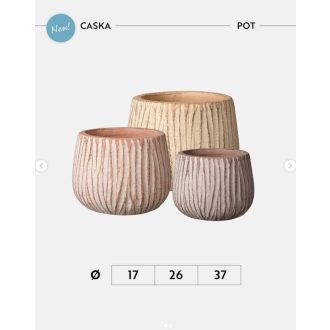 VASO CASKA 17 MIX COLORI