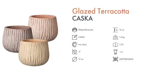 VASO CASKA 17 MIX COLORI