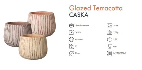 VASO CASKA 26 MIX COLORI