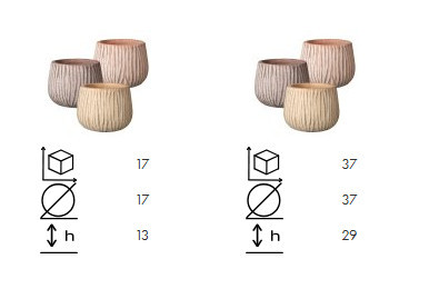 VASO CASKA 26 MIX COLORI