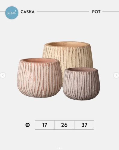 VASO CASKA 37 MIX COLORI