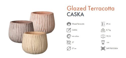 VASO CASKA 37 MIX COLORI