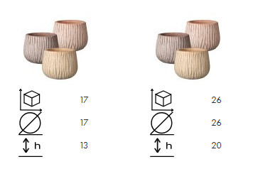 VASO CASKA 37 MIX COLORI