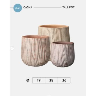 VASO ALTO CASKA 28 MIX COL.
