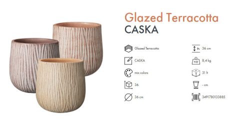 VASO ALTO CASKA 36 MIX COL.