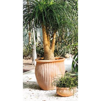 Vaso Alto Atlas set of 3