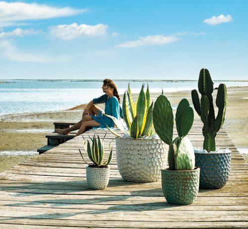 Vaso Lagoon set of 4 mix colori