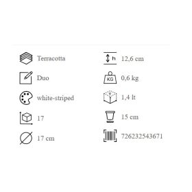 Vasum Duo Bianco W.G. 17