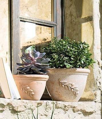 Ciotola Olive 18 Terracotta