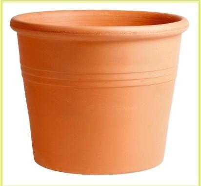 Vaso Cilindro 38