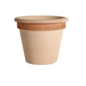 Campanella Graffiata 42