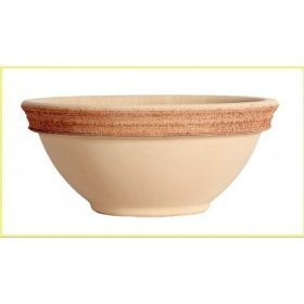 Ciotola Ciclamino Graf. 19