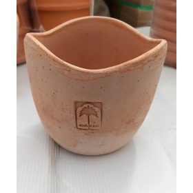 Baby Ondolato Oazis 14