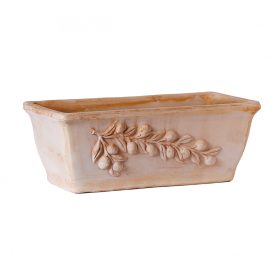 Cassetta Olive Cm 40