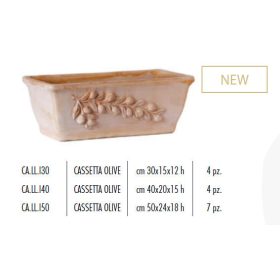 Cassetta Olive 50X24X18H