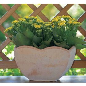 Cassetta Petalo 30X16X18