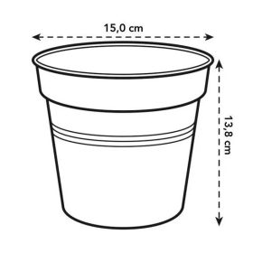 Green Basics Orchid 15 Transparent