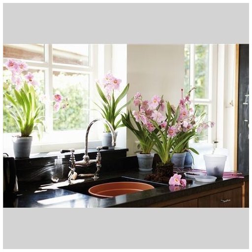 Green Basics Orchid Saucer 10 Transp